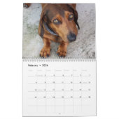Doxies Kalender (Feb 2026)