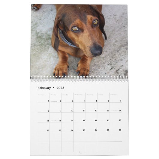 Doxies Kalender (Feb 2026)