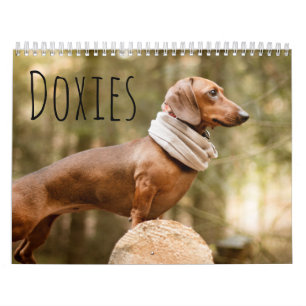 Doxies Kalender