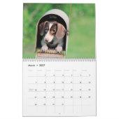 Doxies Kalender (Mar 2027)