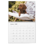 Doxies Kalender (Jan 2027)