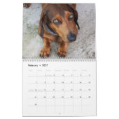 Doxies Kalender (Feb 2027)