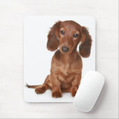 Doxin Wiener Hondenliefhebber Gift Cute Dachshund Muismat (Met muis)
