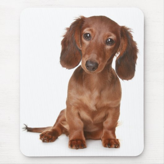 Doxin Wiener Hondenliefhebber Gift Cute Dachshund Muismat (Voorkant)
