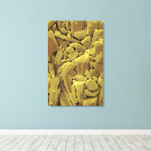 Doxycycline is een lid van het tetracycline-antili canvas afdruk (Insitu (Houten vloer))