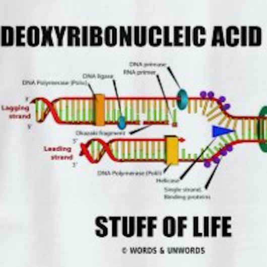 doxyribonucleïnezuur (DNA) en levensgevaarlijk T-shirt