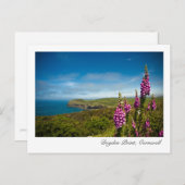 Doyden Point, Cornwall Briefkaart (Voorkant / Achterkant)