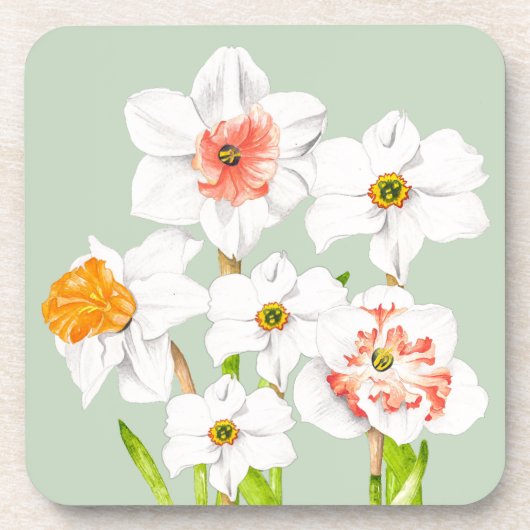 Dozen op een Onderzetter (Voorkant)