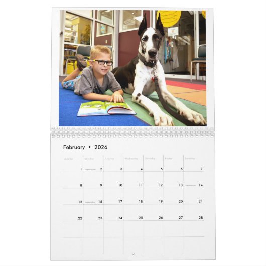Dozer and Friends 2017 Calendar Kalender (Feb 2026)