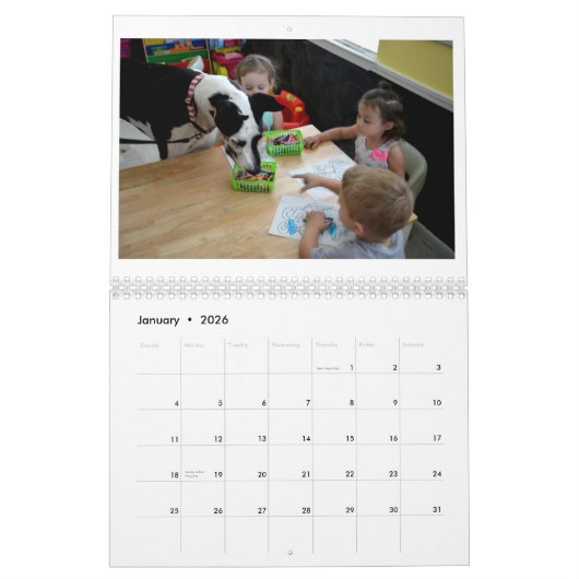 Dozer and Friends 2017 Calendar Kalender (Jan 2026)