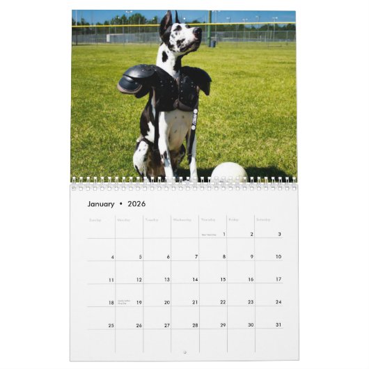 Dozer de Therapy Dog Calendar Kalender (Jan 2026)