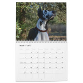 Dozer de Therapy Dog Calendar Kalender (Mar 2027)