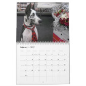 Dozer de Therapy Dog Calendar Kalender (Feb 2027)