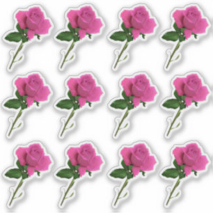 Dozijn lange steel roze rozenblad Sticker