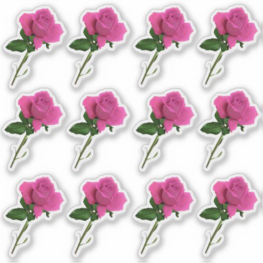Dozijn lange steel roze rozenblad Sticker (Voorkant)