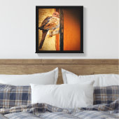 Dozing Dove Canvas Afdruk (Insitu (Slaapkamer))