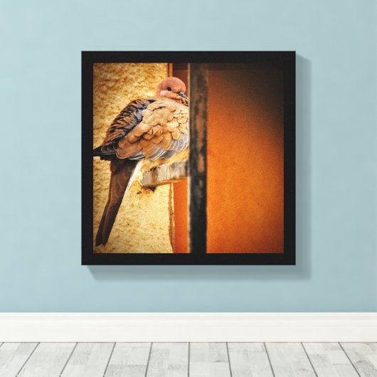 Dozing Dove Canvas Afdruk (Insitu (Houten vloer))