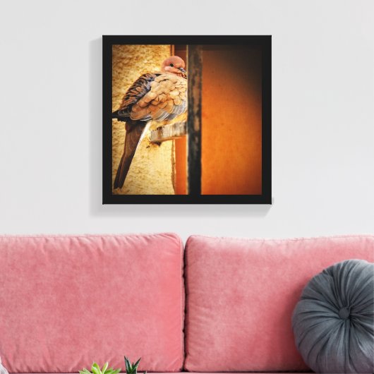 Dozing Dove Canvas Afdruk (Insitu (Woonkamer))