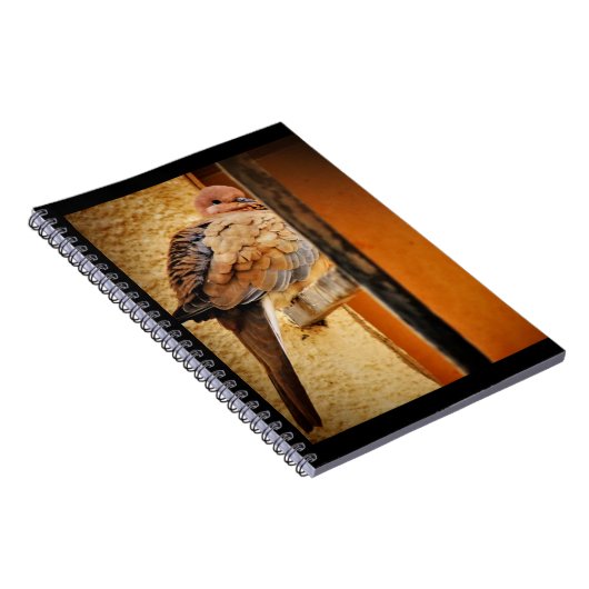 Dozing Dove Notitieboek (Rechterzijde)