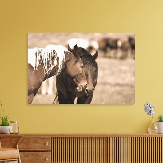 Dozing Onaqui Wilde Paarden Canvas Afdruk (Insitu (Woonkamer))
