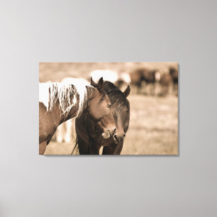 Dozing Onaqui Wilde Paarden Canvas Afdruk
