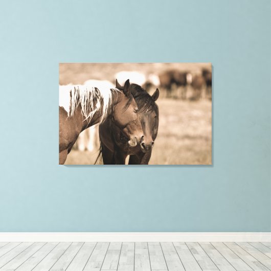 Dozing Onaqui Wilde Paarden Canvas Afdruk (Insitu (Houten vloer))