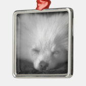 Dozing Pomeranian Metalen Ornament (Links)
