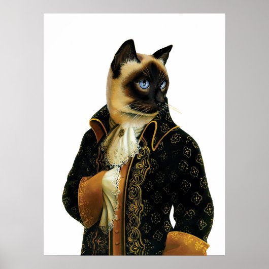 DR.041 Siamese Cat poster (Voorkant)