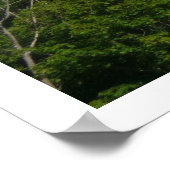 DR.1 239/17 over definitief! Poster (Hoek)