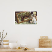 Dr. Kilmers Swamp Root Poster (Keuken)