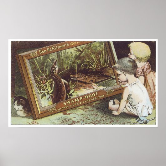 Dr. Kilmers Swamp Root Poster (Voorkant)