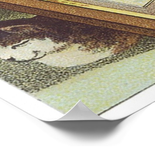 Dr. Kilmers Swamp Root Poster (Hoek)