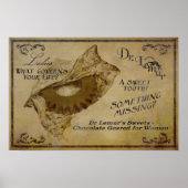 Dr. Lemur's chocolade Poster (Voorkant)