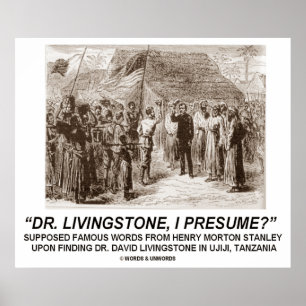 Dr Livingstone, neem ik aan? Poster