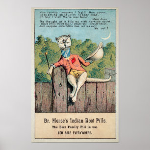 Dr. Morse Cat Trade Card #2 (van 4) Poster