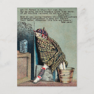Dr. Morse Cat Trade Card #4 (van 4) Briefkaart