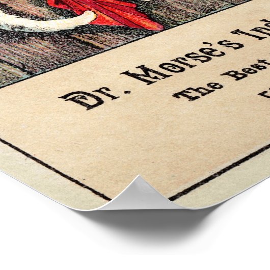 Dr. Morse Cat Trade Kaart #1 (van 4) Poster (Hoek)