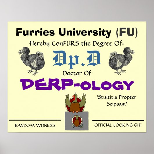 Dr. of DERP-ology 2 Poster (Voorkant)