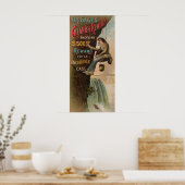 Dr. Sage's catarrhremedie Poster (Keuken)