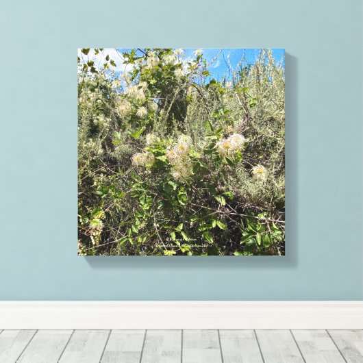 Dr. Seuss Flowers Canvas Afdruk (Insitu (Houten vloer))