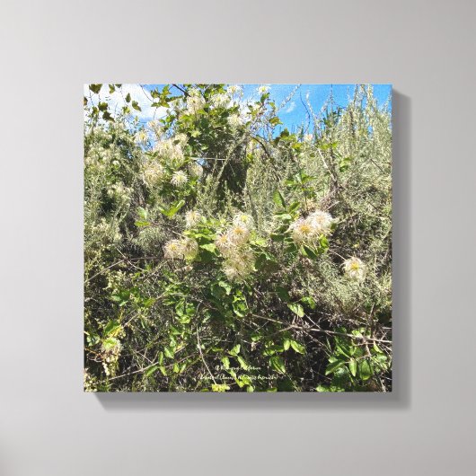 Dr. Seuss Flowers Canvas Afdruk (Voorkant)