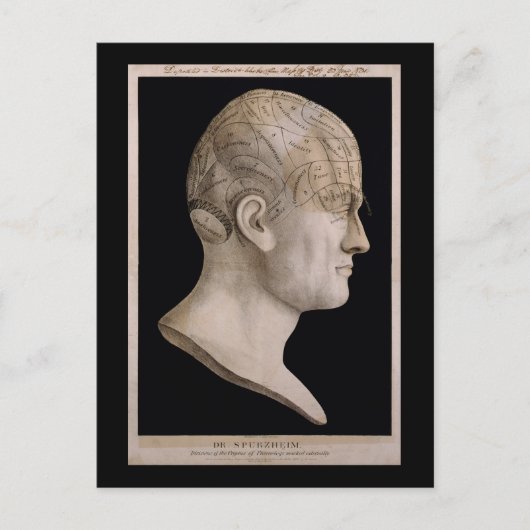 Dr. Spurzheim's phrenologieschema Briefkaart (Voorkant)