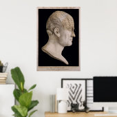 Dr. Spurzheim's phrenologieschema Poster (Thuiskantoor)