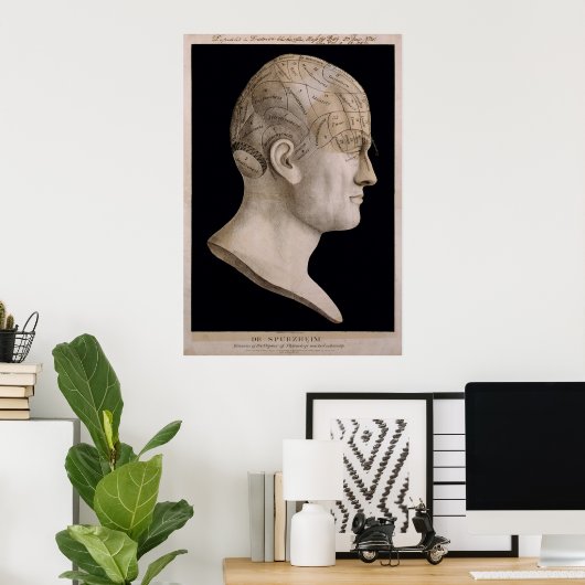 Dr. Spurzheim's phrenologieschema Poster (Thuiskantoor)