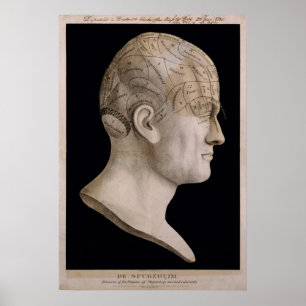 Dr. Spurzheim's phrenologieschema Poster