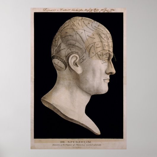 Dr. Spurzheim's phrenologieschema Poster (Voorkant)