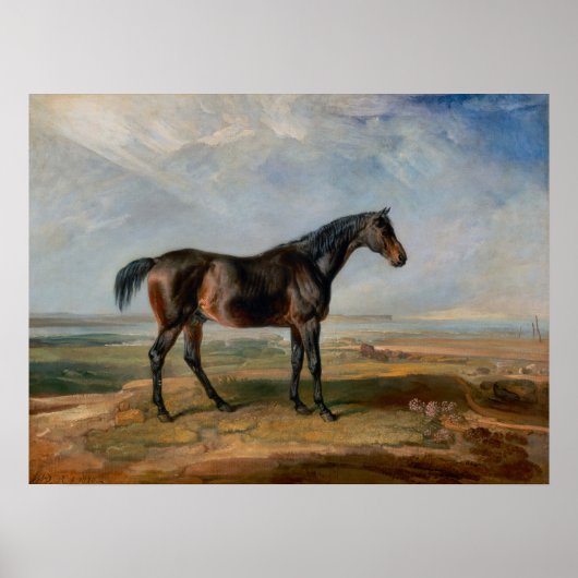 Dr. Syntax  Bay Racehorse Poster (Voorkant)