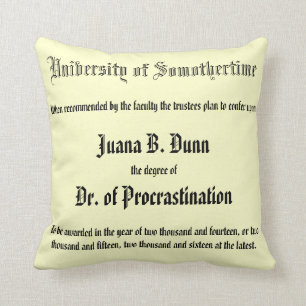 Dr. van Procrastination, kussen