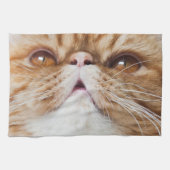 Dr. Y DA DiShEs! Theedoek (Horizontaal)