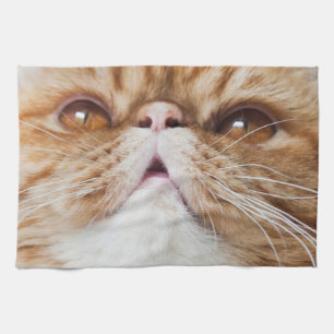 Dr. Y DA DiShEs! Theedoek